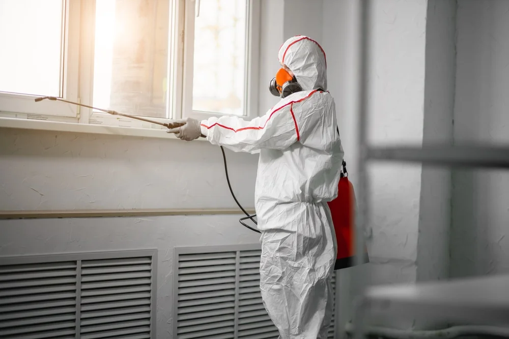 Professional mold remediation services in Jbsa Randolph, TX